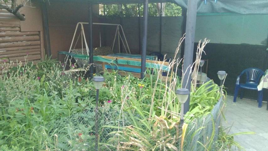 Maison d’hôte pour 6 personnes, animaux acceptés à Odessa