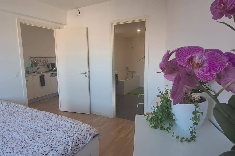 Geheel appartement, Park Brusilia in Schaarbeek, Brussel en omgeving