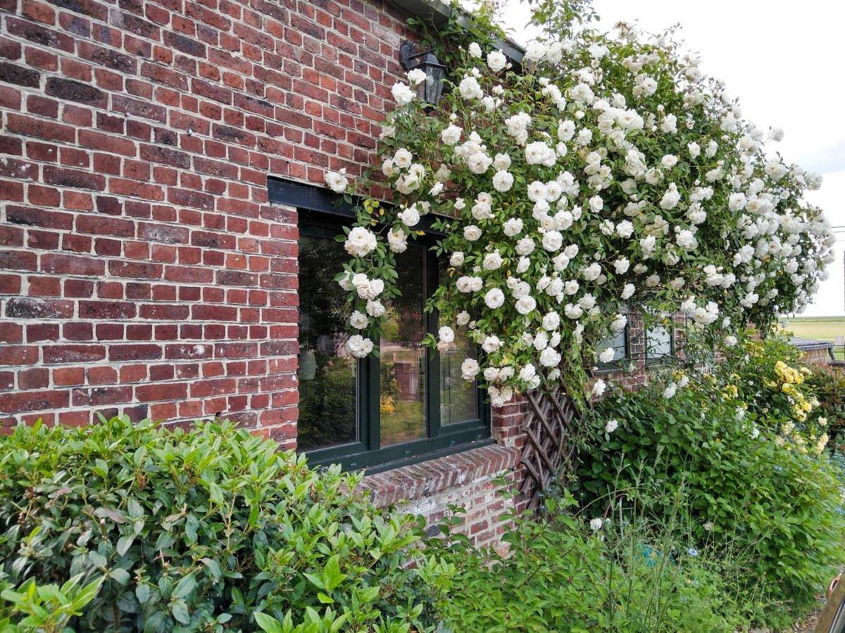 Gîte rural Les petites têtes in Leuze-en-Hainaut, Hainaut