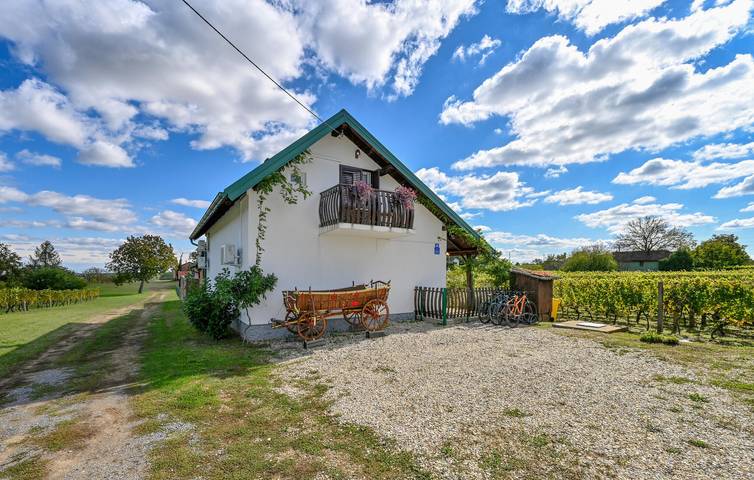 Ferienhaus für 8 Personen, mit Garten und Whirlpool sowie Sauna - 1