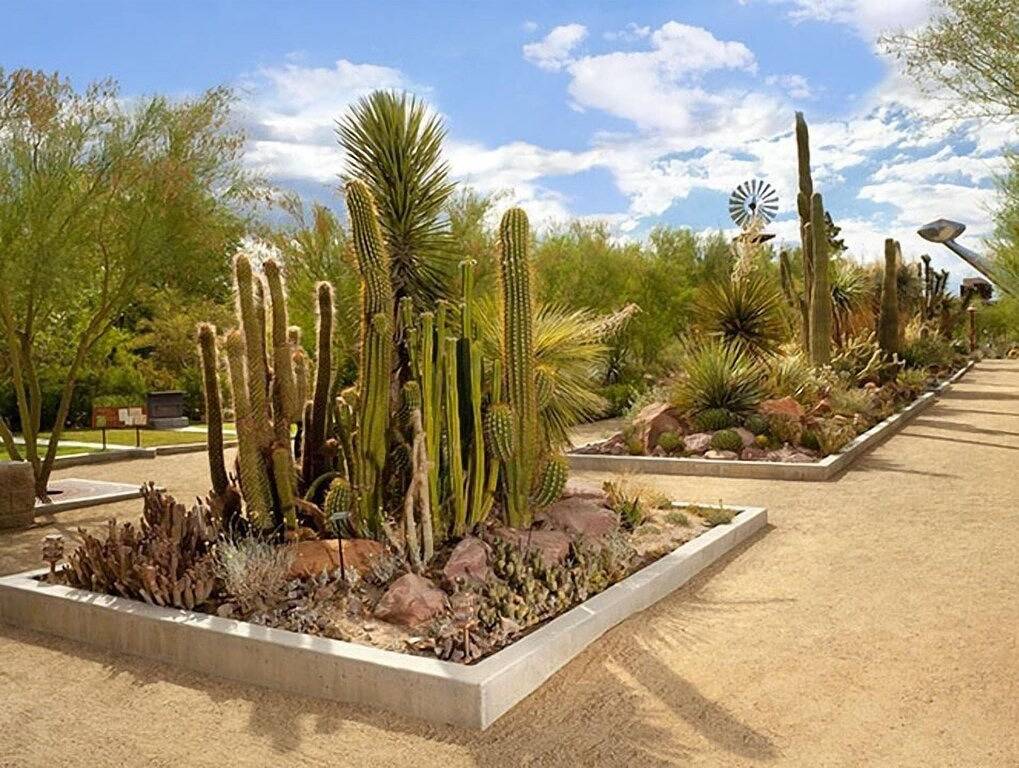 All In One Place! Casino, Nightly Entertainment, Free Parking! in Downtown Las Vegas, Las Vegas