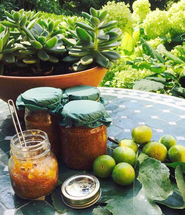 Chambre d’hôte pour 3 personnes, avec vue ainsi que terrasse et jardin à Zagreb - 4