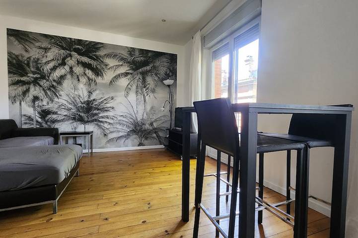 Ferienwohnung für 5 Personen, mit Haustier in Toulouse