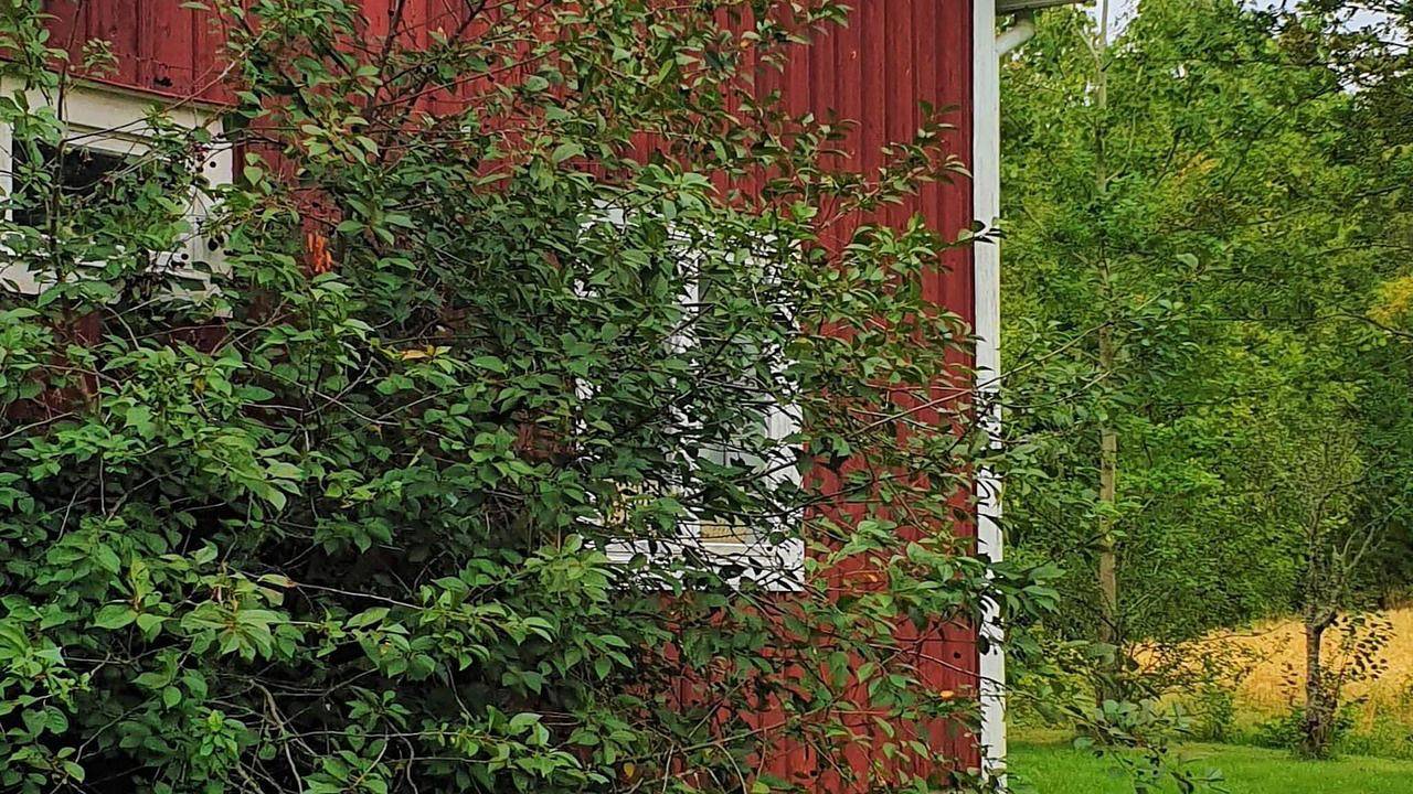 Ferienhaus für 4 Personen (120 m²) in Järvsö in Hälsingland