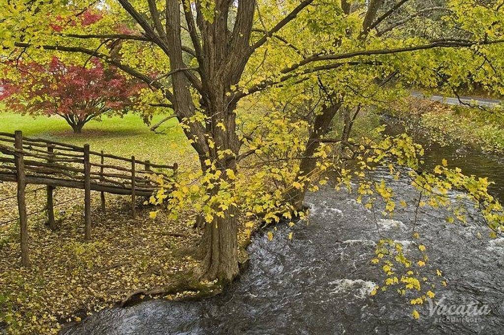 Ein bewaldetes Wunderland! in Monroe County (PA)