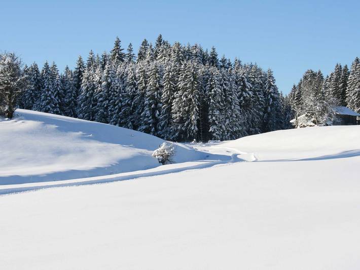 Ganze Ferienwohnung, Haus Allgäu Ruh - Fuchsbau in Görisried, Bayerisch Schwaben