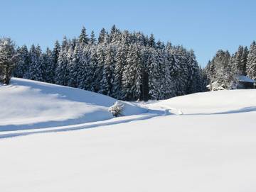 Bauernhof für 4 Personen in Görisried, Bayerisch Schwaben, Bild 4