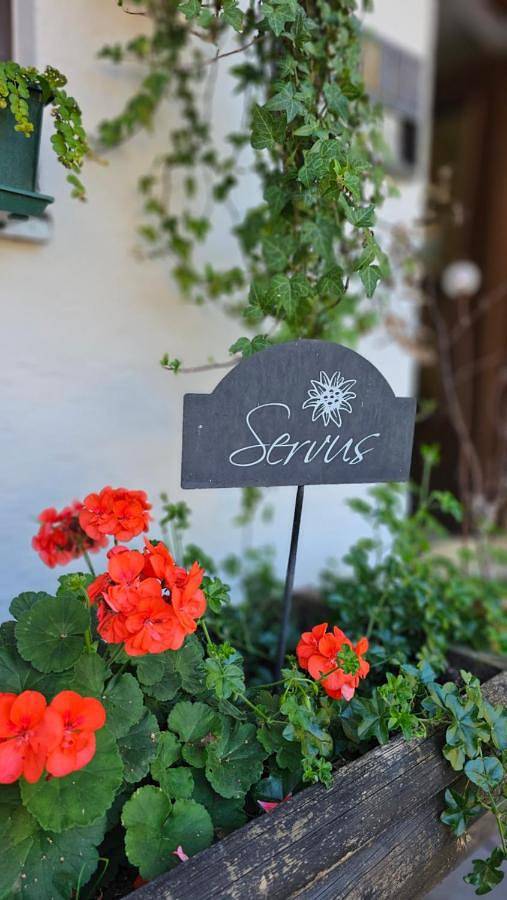 Ferienhaus für 4 Personen, mit Balkon und Terrasse sowie Garten und Ausblick am Simssee - 4
