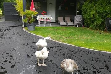 Gîte pour 3 personnes, avec jardin et terrasse à Montivilliers