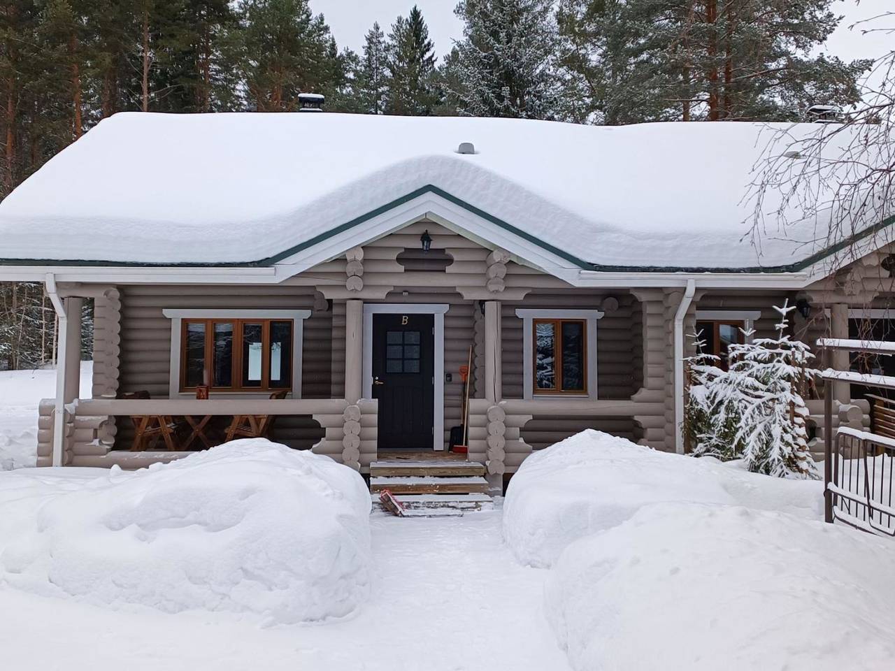 Purnutar b in Koli, Pielinen