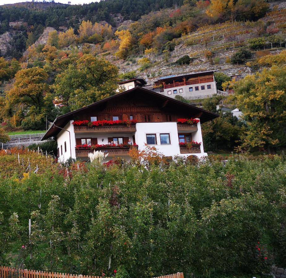 Garni Schuster in Corces, Silandro