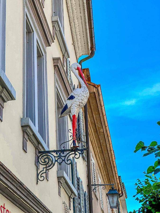 Gîte pour 3 personnes, avec terrasse, animaux acceptés à Porrentruy - 2