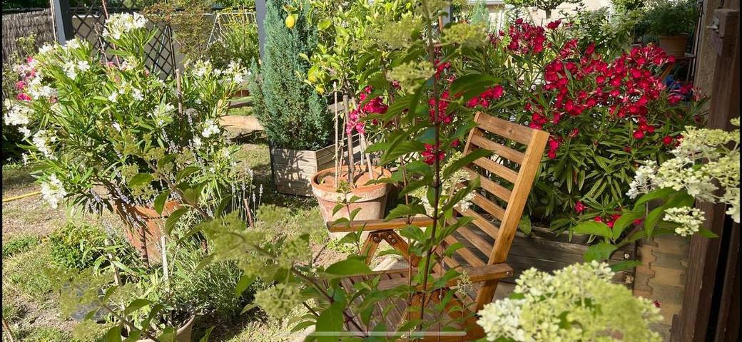 Chambre d’hôte pour 2 personnes, avec jardin et vue, animaux acceptés à Guillestre - 2