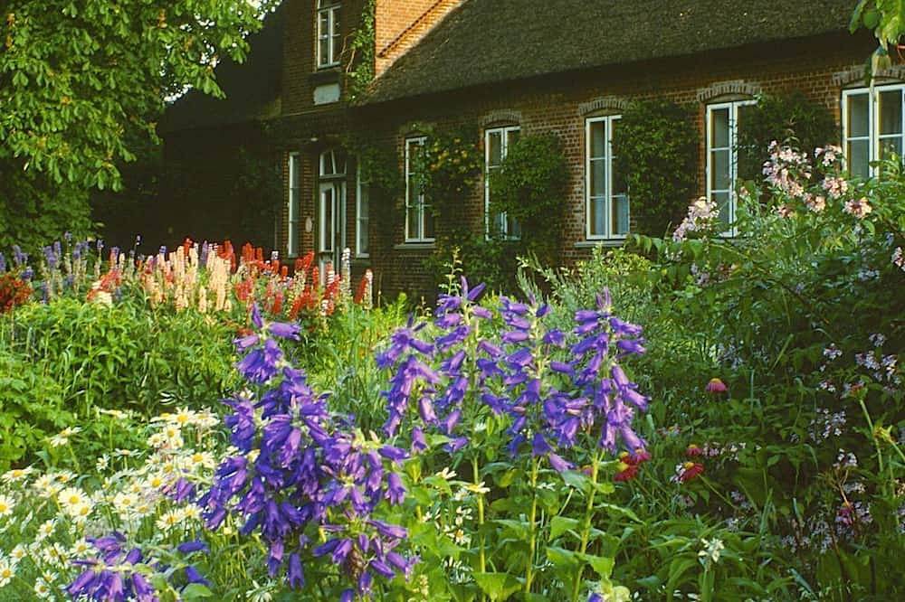 Ganze Wohnung, Hof Gröne, Deutschland in Drage, Eider-Treene-Sorge