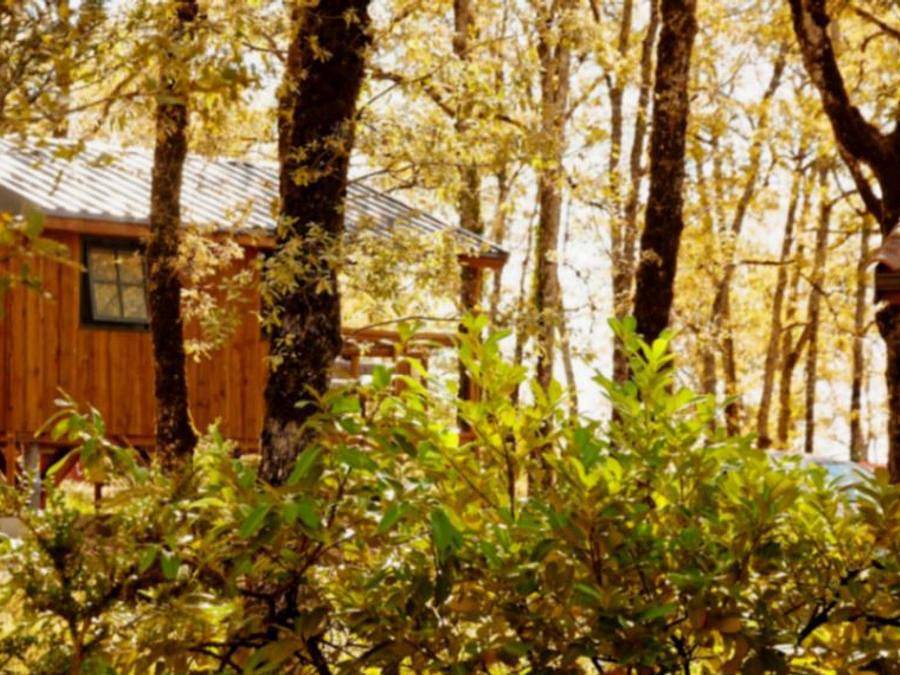 Camping La Truffière - Hébergement 2 personnes - Cabanes Duo in Saint-Cirq-Lapopie, Massif central