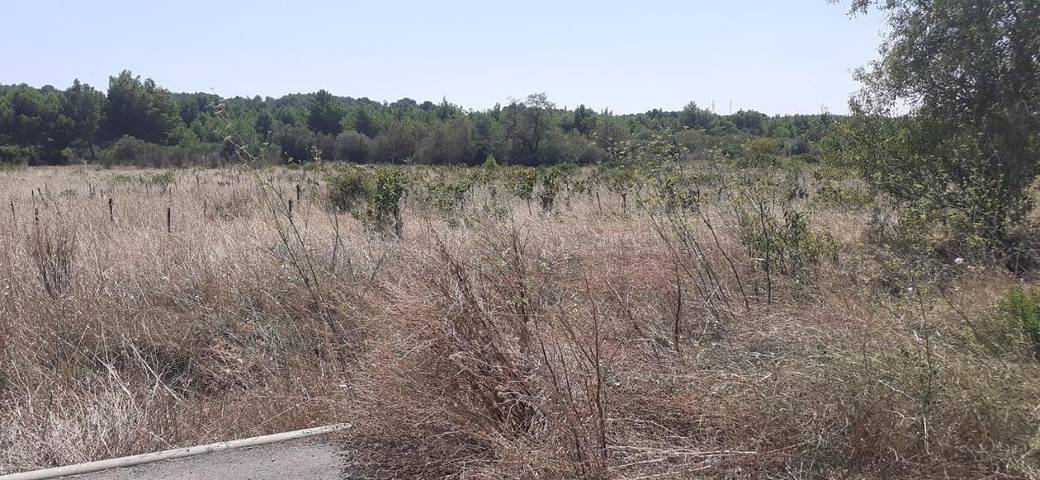 Maison d’hôte pour 2 personnes, avec terrasse, animaux acceptés à Sigean - 4