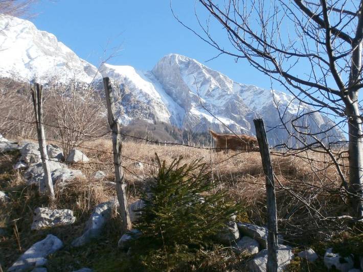 Gîte pour 4 personnes, avec vue et jardin à Kobarid - 2