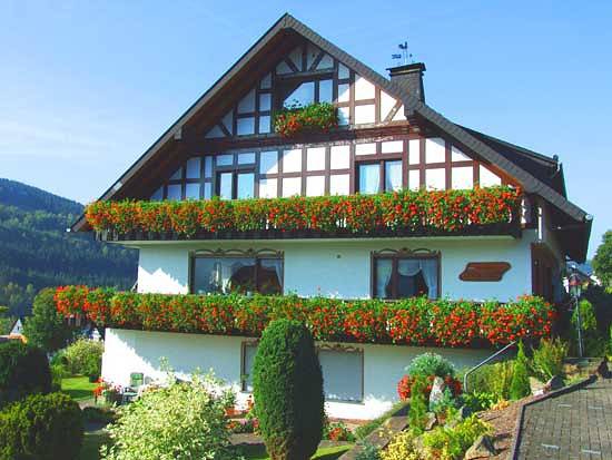 Pension voor 2 personen, met Balkon en Balkon/Terras in Sauerland