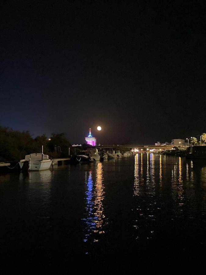 La lagune aux oiseaux in Palavas-les-Flots, Côte d'Améthyste