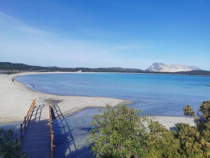 Maison d’hôte pour 2 personnes, avec vue et terrasse à San Teodoro - 4