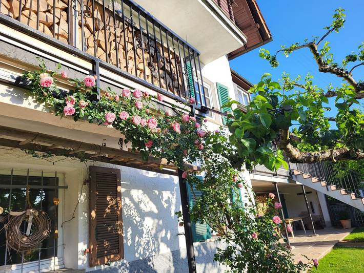 Ferienwohnung für 4 Personen, mit Balkon in Südliche Weinstraße