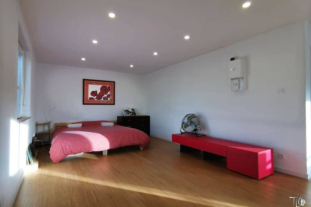 Geheel appartement, ♥Appart + terrace: 77m2+ 24m2 = 1500 € l/weekspecial pricefoe long stays in Straatsburg, Strasbourg regio