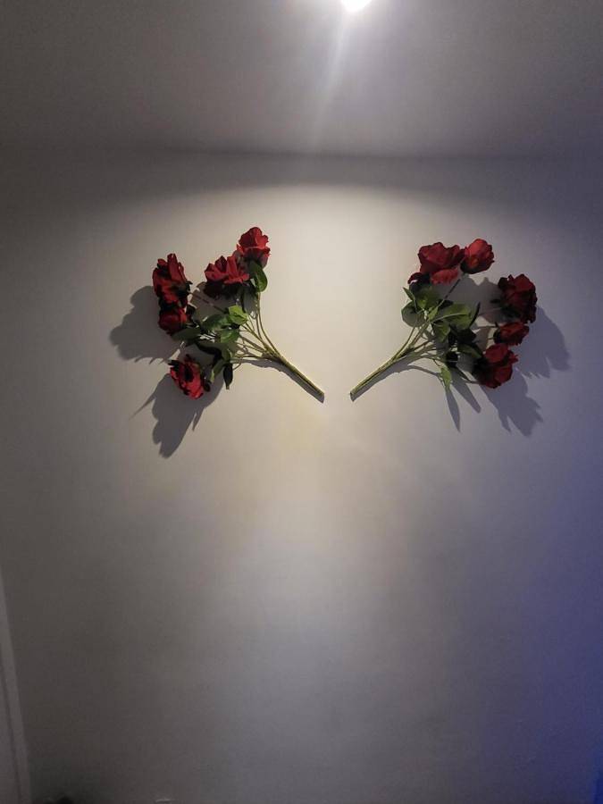 Appartement entier, Paris Rosny 2 - Appartement Love Room with Jacuzzi in Rosny-sous-Bois, Seine-Saint-Denis