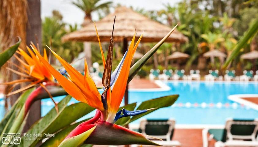 Apartahotel para 7 personas, con jardín y vistas además de piscina para niños y piscina, Se admiten mascotas en Cerdeña