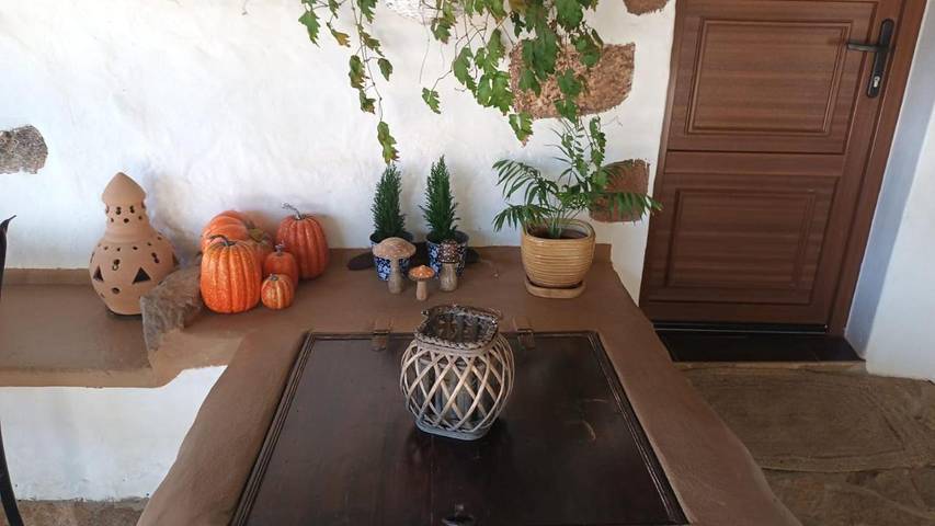 Casa rural para 6 personas, con piscina además de vistas y jardín, Se admiten mascotas en Puerto del Rosario - 4