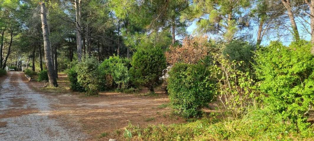 Location de vacances pour 2 personnes, avec piscine et jardin à Éguilles - 4