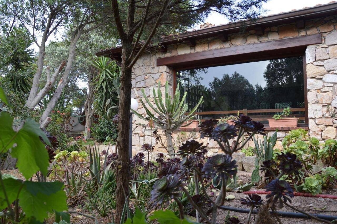 Giardino degli Ulivi in Porto Paglia, Gonnesa