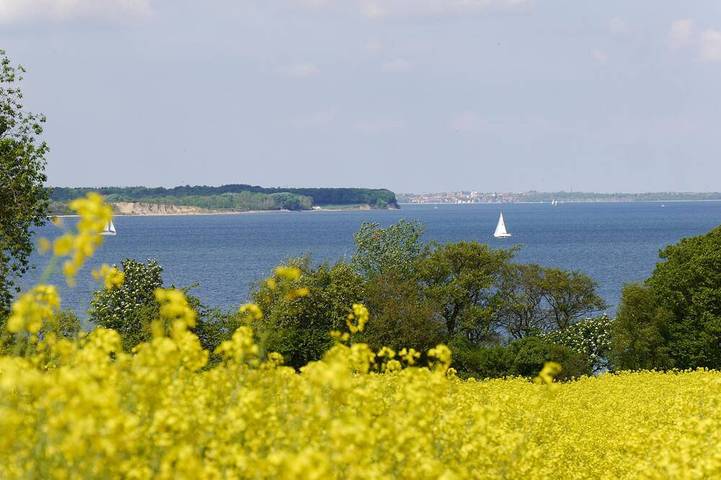 Ferienhaus für 4 Personen, mit Terrasse und Garten in Steinberg