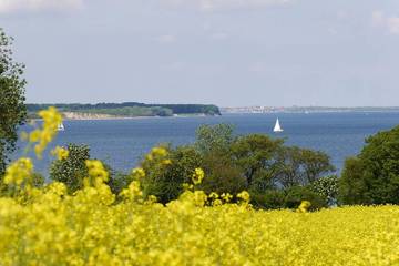 Ferienhaus für 4 Personen, mit Garten und Terrasse in Steinberg