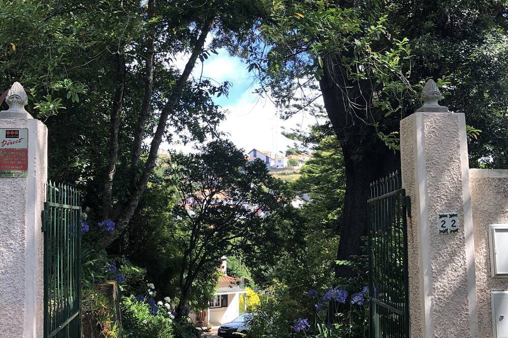 The Garden of Paradise in Camacha, Madeira