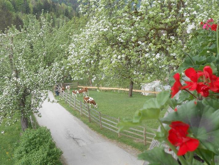 Ferienwohnung für 7 Personen, mit Balkon und Garten sowie Seeblick und Ausblick in Thiersee - 2