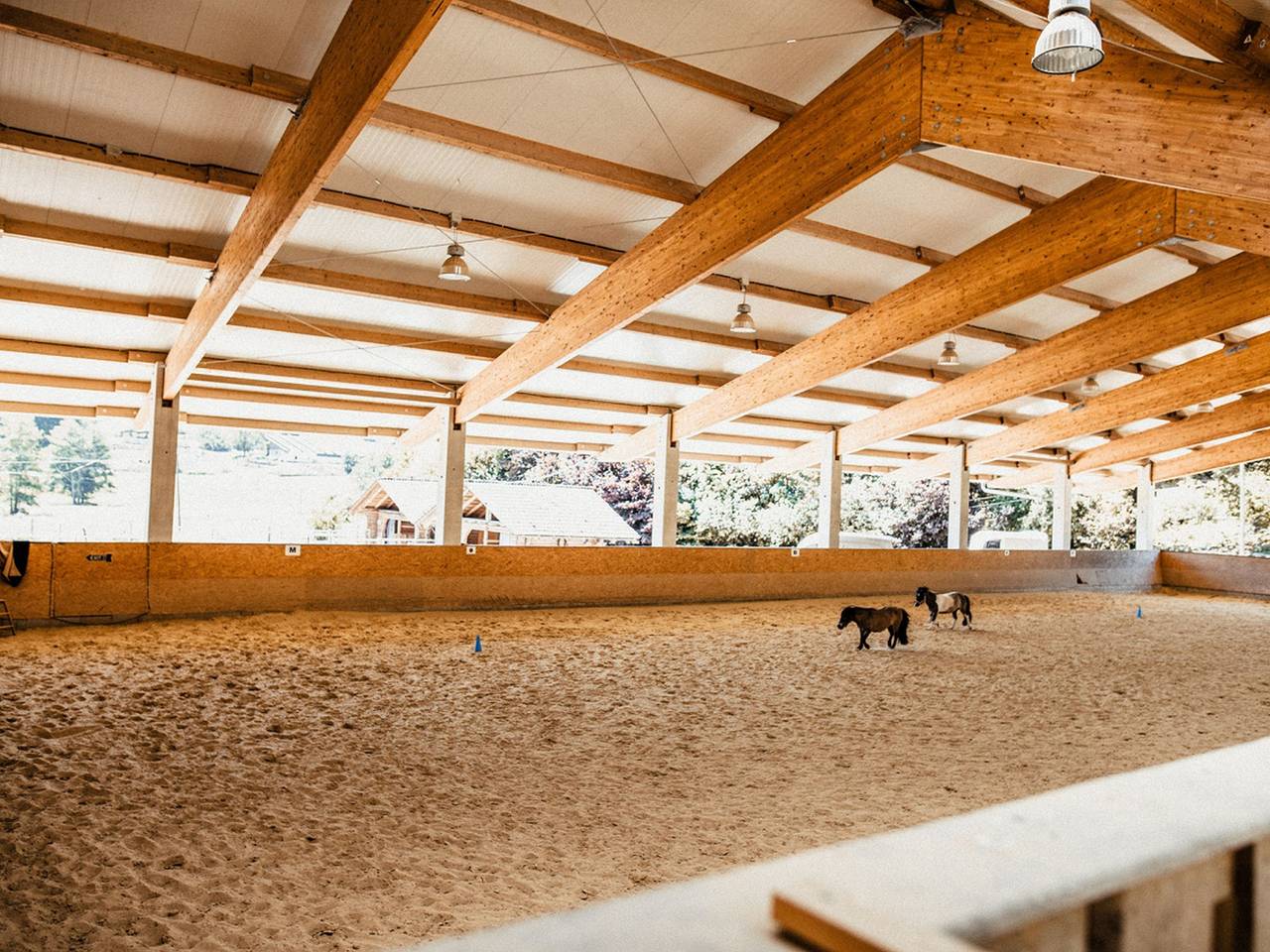 Ganze Ferienwohnung, Ferienwohnung Schwörerhof - Ferienwohnung Bergblick, 93qm, 3 Schlafzimmer, 2 Badezimmer, max.7 Personen in Seelbach, Mittlerer Schwarzwald