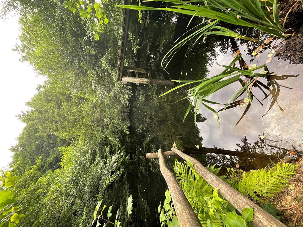 Ganze Ferienwohnung, Ferienwohnung mit privatem Naturschwimmteich - Ferienwohnung mit direktem Zugang zum Garten in Donau Niederösterreich
