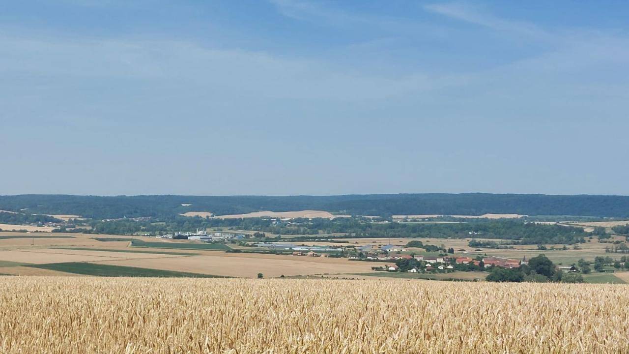 Appartement entier, Deux chambres Terrasse salle de sport Proche du Lac De La Madine Et Chateau D'Hattonchatel in Vigneulles-lès-Hattonchâtel, Région de Commercy