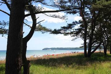 Ferienhaus für 6 Personen, mit Garten und Terrasse, mit Haustier in Bergen auf Rügen
