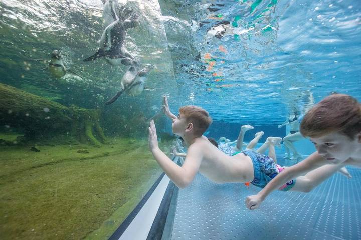 Hotel für 2 Personen, mit Whirlpool und Terrasse sowie Kinderpool und Sauna