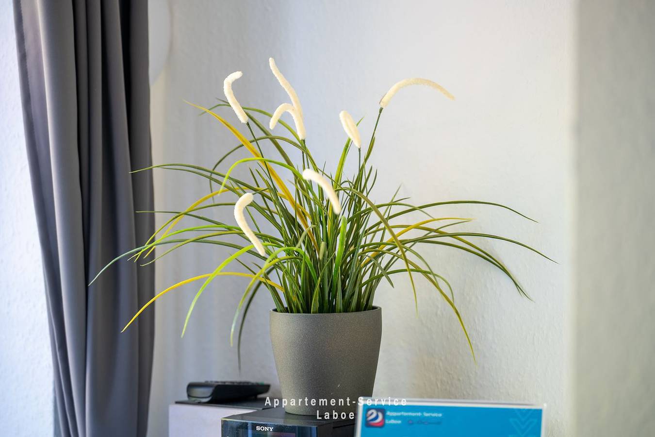 Ganze Wohnung, Ferienwohnung Parkpension in Kieler Förde, Laboe