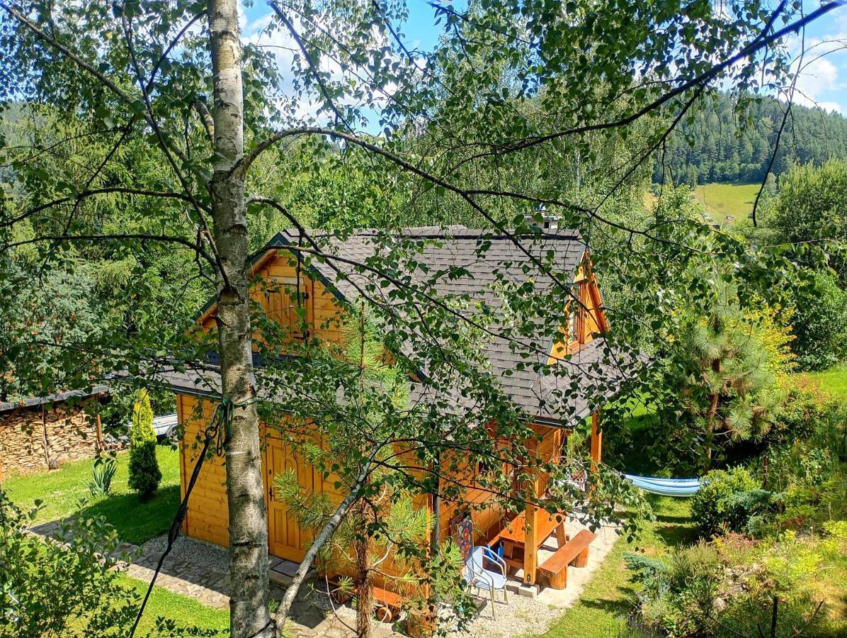 Brzozowy Zakątek -Chatka Stokrotka w Krynicy in Krynica-Zdrój, Karpaty (Polska)