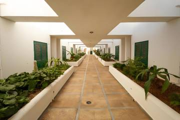 Bungalow per 4 Persone in Granadilla de Abona, Tenerife Sud, Foto 3