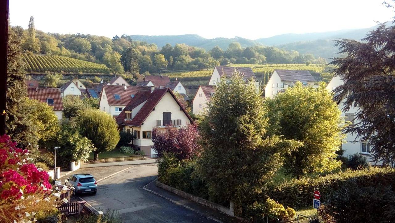 Marcia Donatti - A l'Ombre des Coteaux Sao Paulo in Kaysersberg, Regionaler Naturpark Belchen der Vogesen