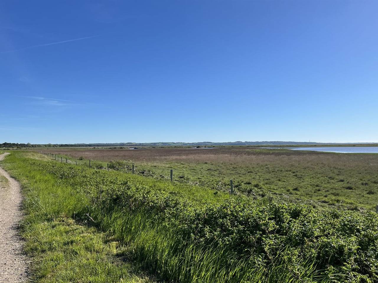 "Felis" - 575m from the sea in Gudmindrup Lyng, Højby