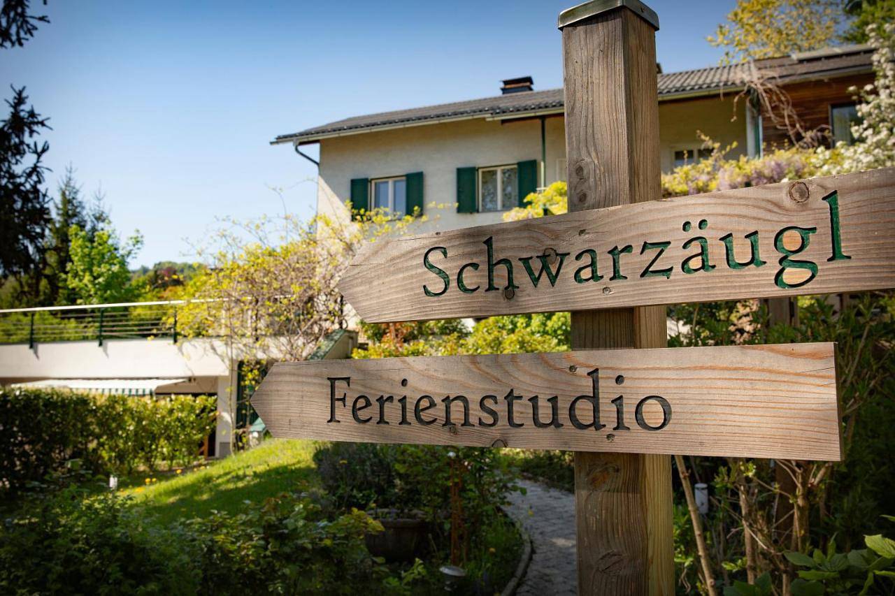 Ganze Wohnung, Ferienstudio Traunsee in Altmünster, Bezirk Gmunden