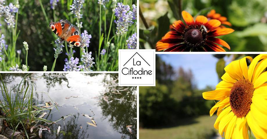 Location de vacances pour 2 personnes, avec jardin en Moselle - 2