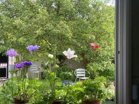Cottage pour 2 personnes, avec jardin et terrasse à Champagne-sur-Seine