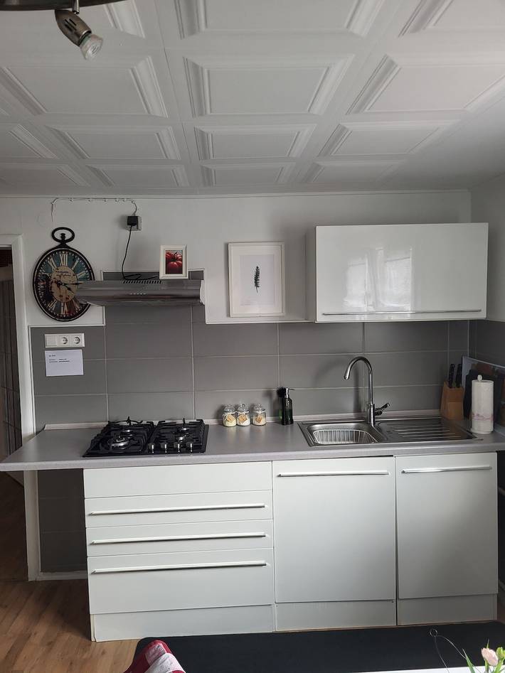 Ferienwohnung für 3 Personen, mit Garten in der Pfalz - 4
