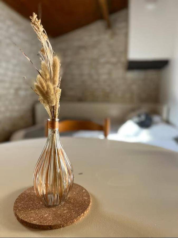 Gîte pour 3 personnes, avec terrasse, animaux acceptés à Velluire